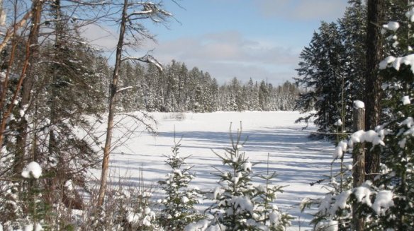 Snow-covered lake on the way to Oxcart Trail. Photo sent by Patty Holycross.
