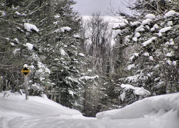 Ridge Run trail, overlooking Flour Lake. Photo by Karen Reynolds.