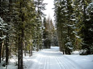 2.20.11 poplar creek