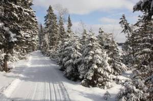 1.25.13 from dan baumann