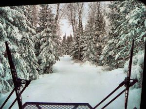 2.11.13 view from back of pisten bully