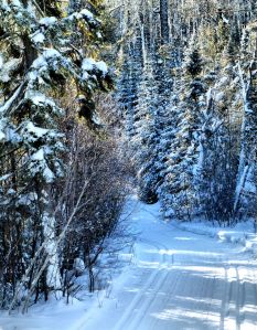 12.29.13 pop creek 2S