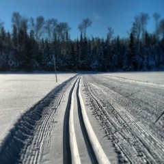 1.18.14 tracks across lake