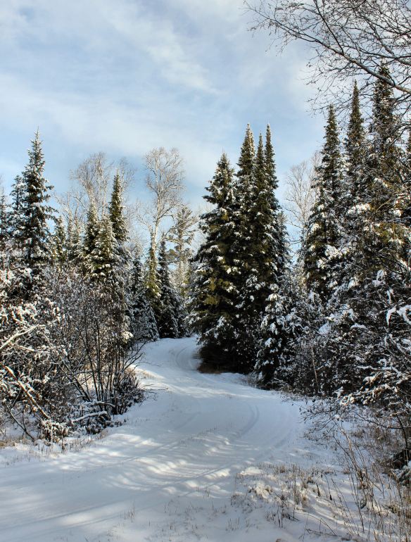 Poplar Creek ski trail 12.3.2015