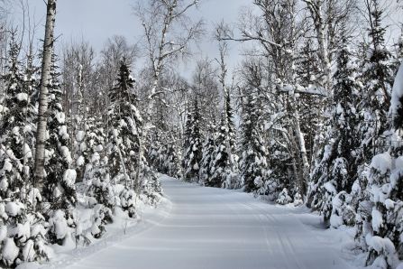 Summer Home Road ski trail