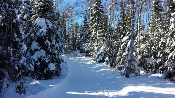 Photo by Jan Christenson