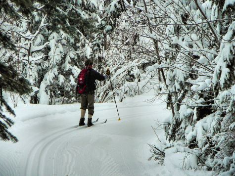 3.18.2016 skier Canada LRCL