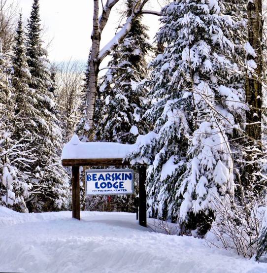 bsl sign 1.2019 edit