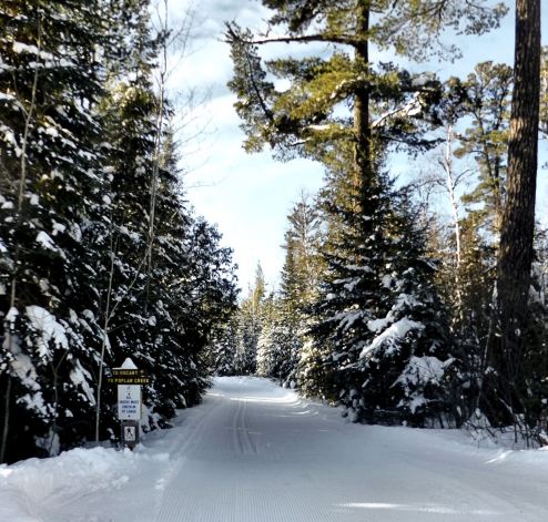 trail to occart 1.17.2019