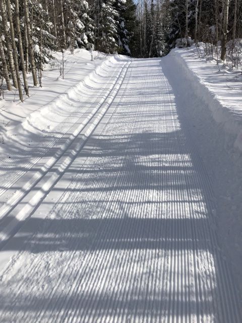 Ski trail