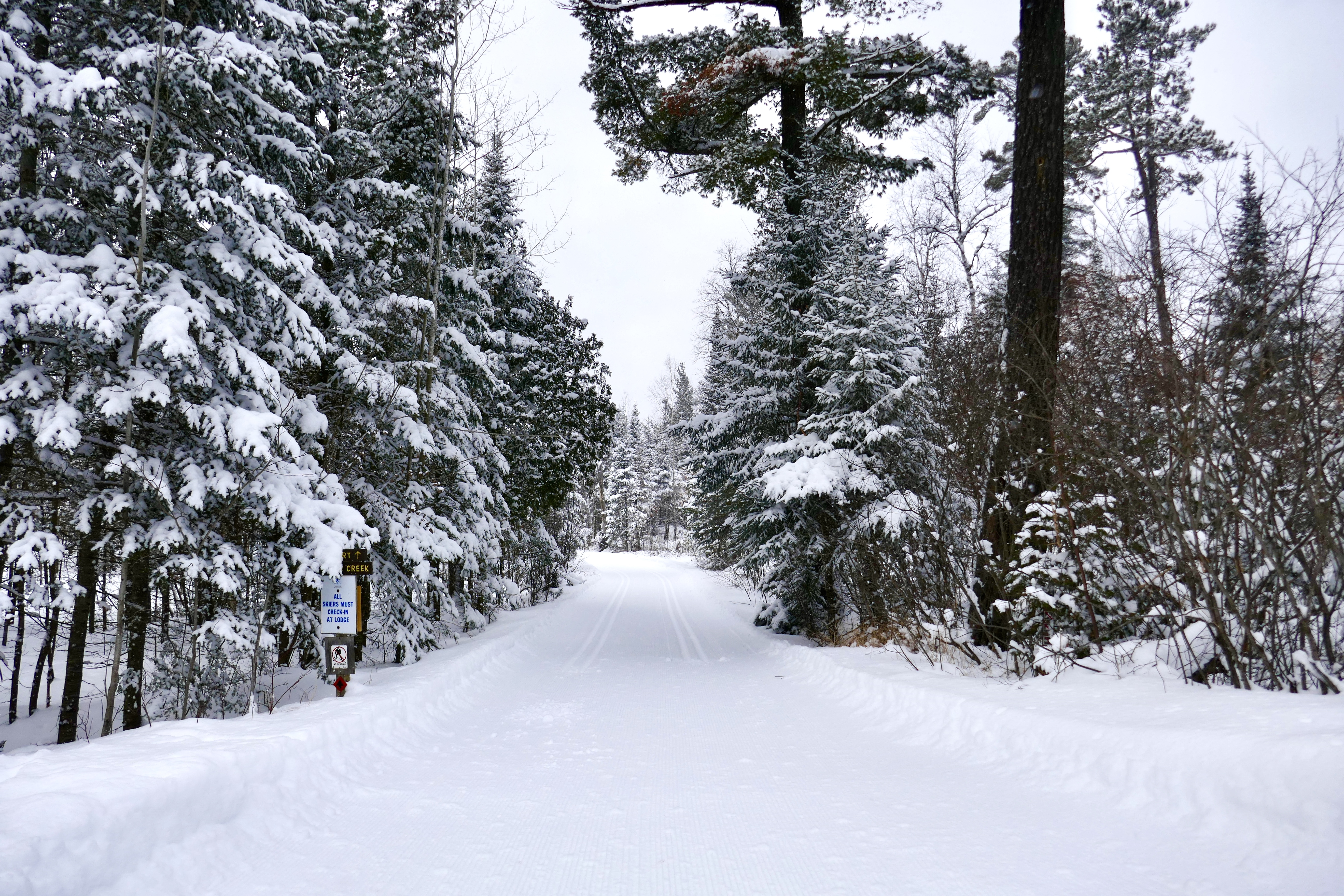 BE03C97F-EC39-494A-8BB2-6BD5C7A80306