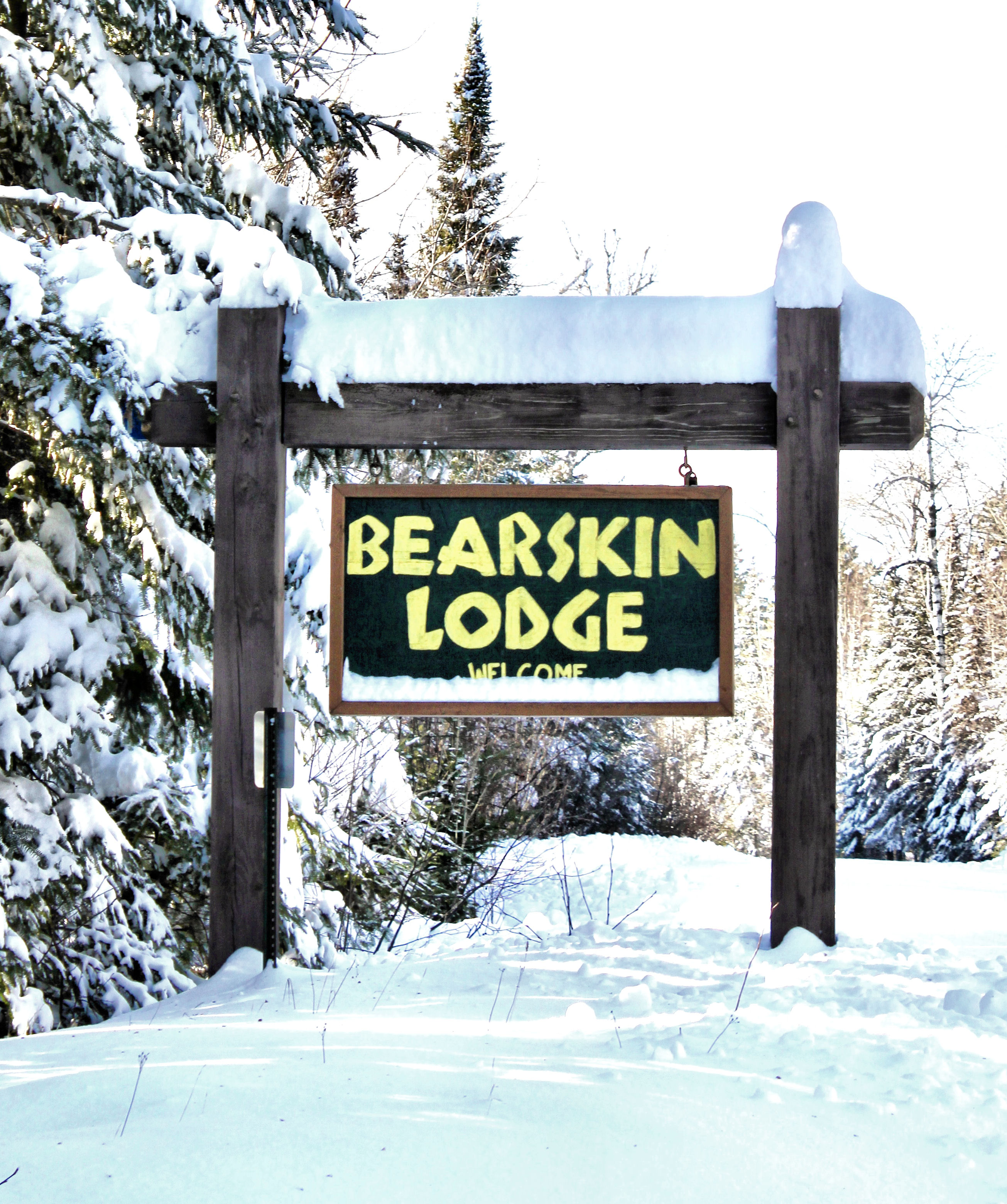 ski sign green sign with snow