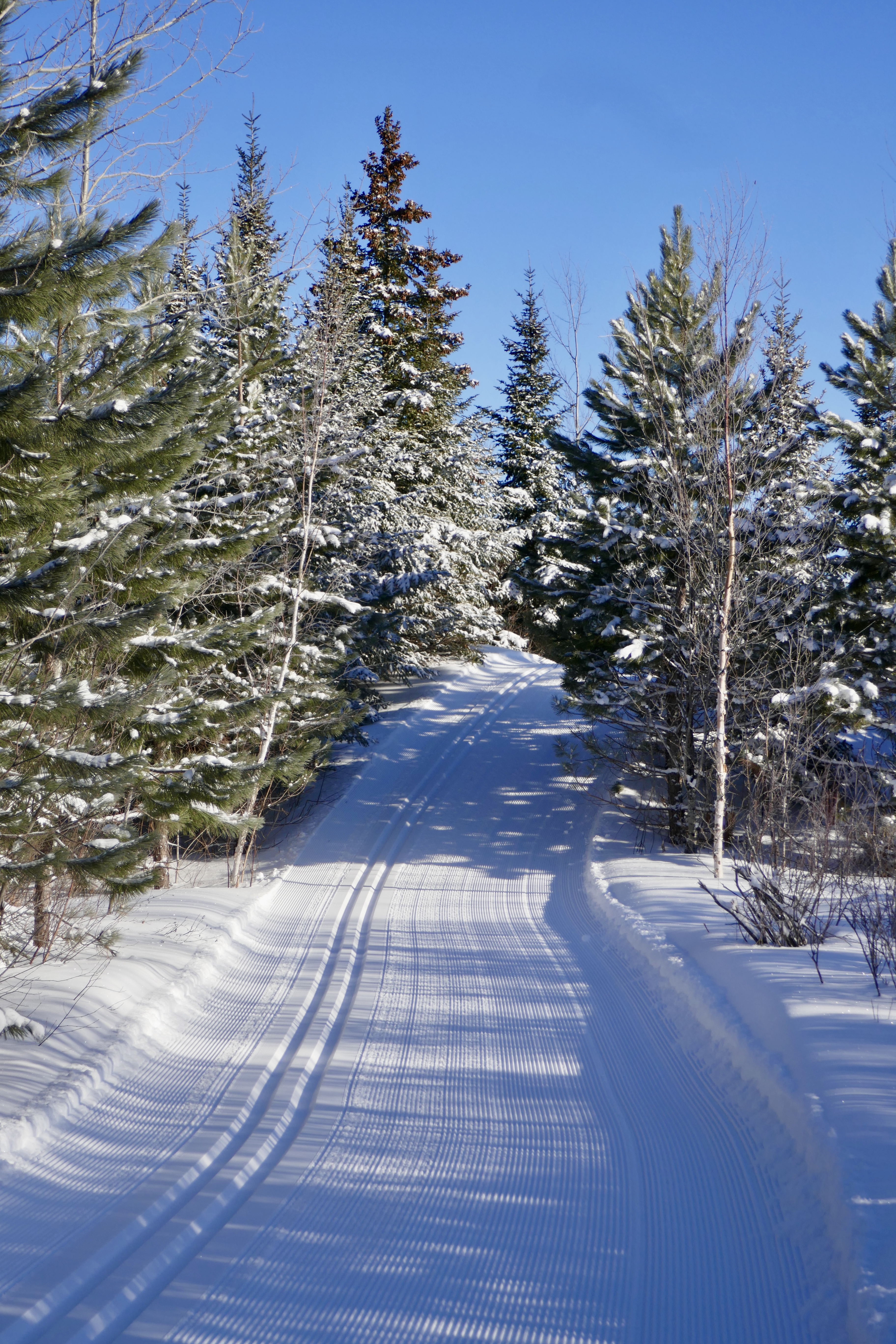 5338925E-846F-429D-8864-0FD21F468534